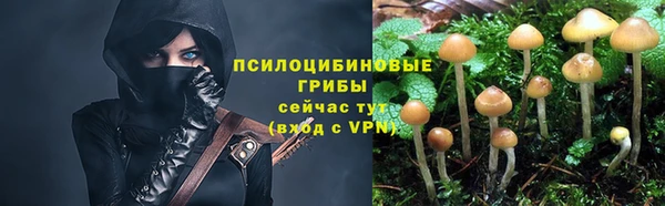 марки nbome Новодвинск