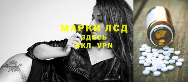 крисы Няндома