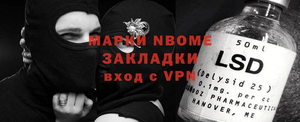крисы Няндома