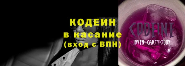 крисы Няндома