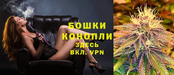 крисы Няндома