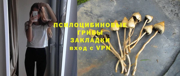 гидропоника Новокубанск