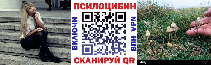 Галлюциногенные грибы Cubensis Полярные Зори