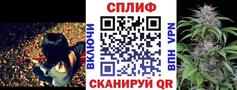 blacksprut ТОР Полярные Зори Шишки марихуана планчик где найти